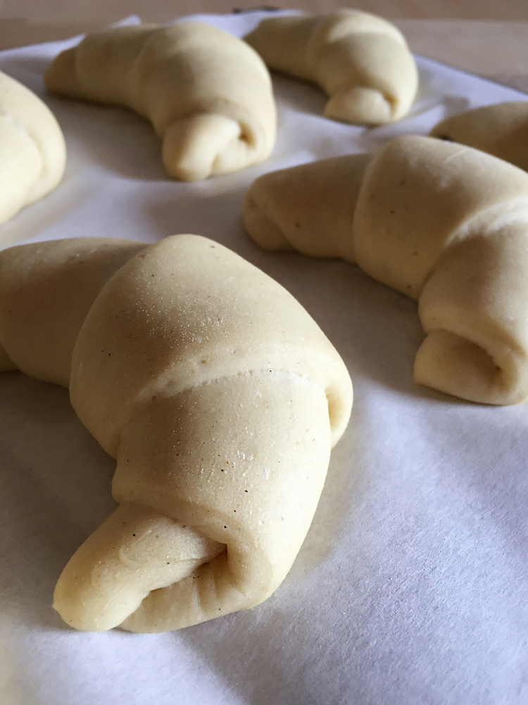 brioche in lievitazione