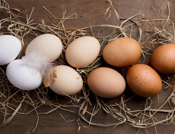 come sostituire le uova