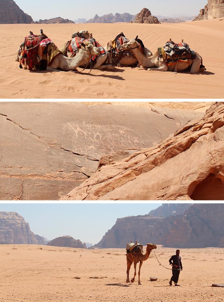 Wadi Rum incisioni rupestri