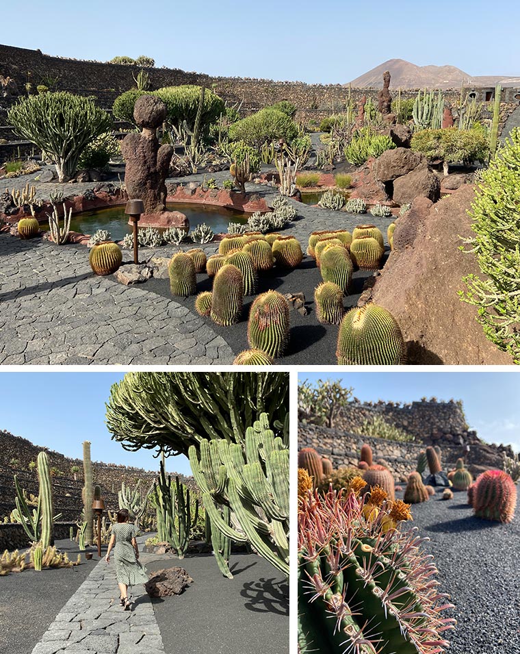 Jardín de Cactus, Lanzarote