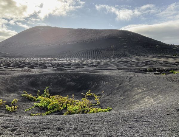 La Geria, Lanzarote