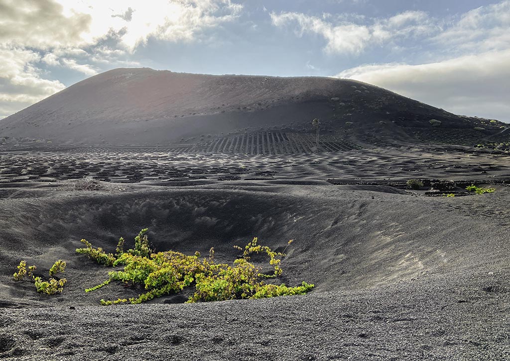 La Geria, Lanzarote