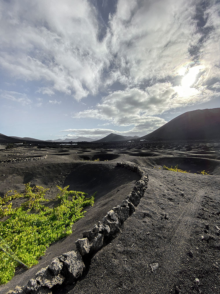 La Geria, Lanzarote