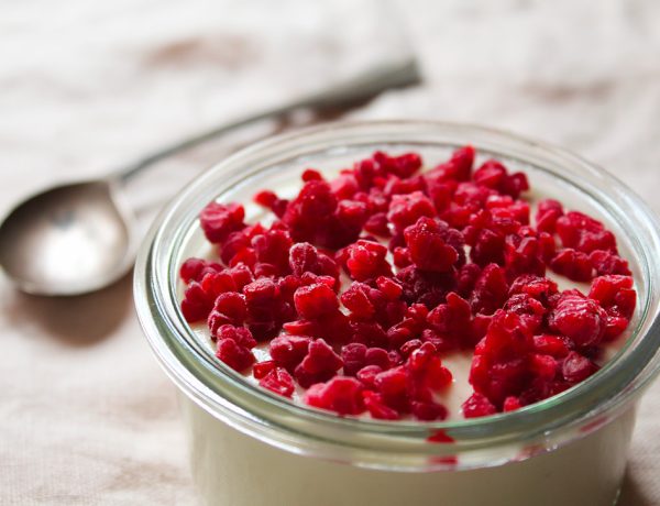 panna cotta vegan alla vaniglia